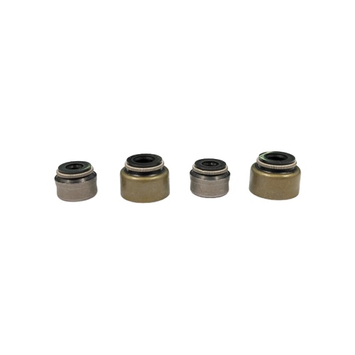 Valve seal kit KTM 450 EXC-F (08-11) KRV00KT0V0809