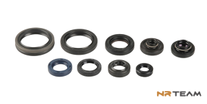Engine Seal NRTeam (KIT)