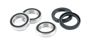 Wheel Bearings and Seals