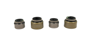 Valve Seal XRadical (KIT)