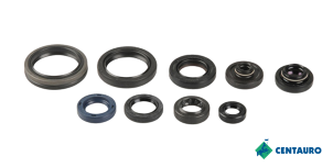 Engine Seal Centauro (KIT)