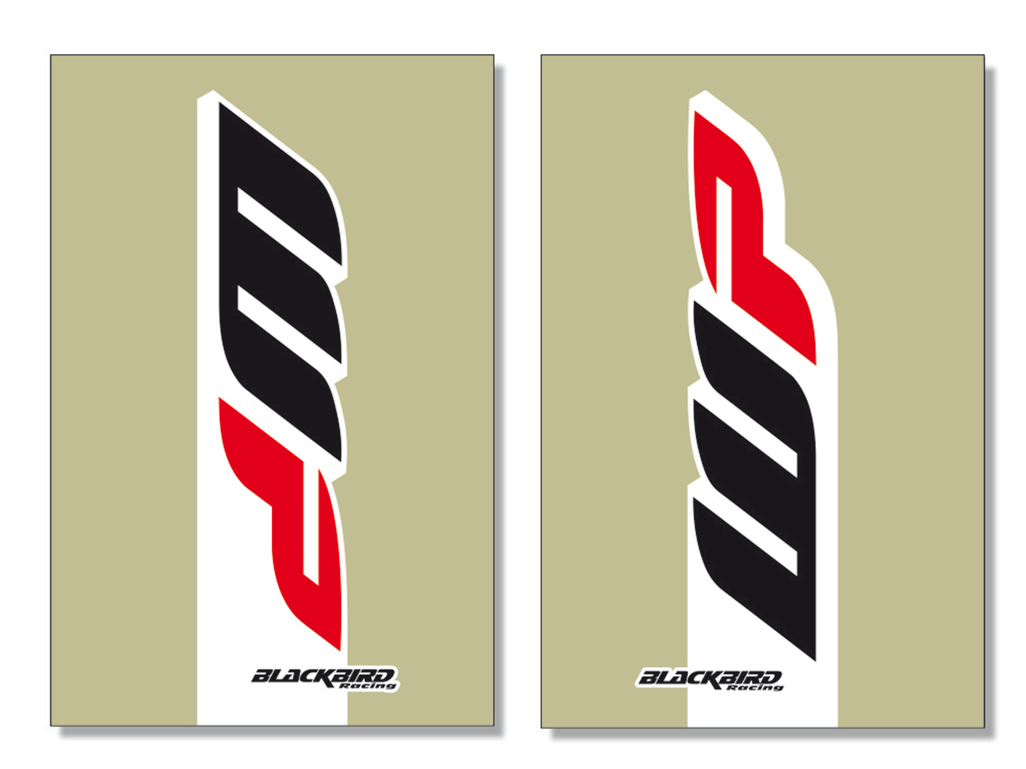 Kit sticker for WP 2017 fork guard with transparent background