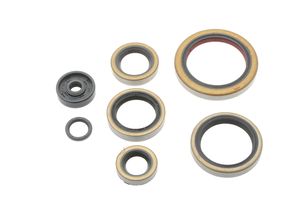 Engine Seal Set NRTeam KTM 250 SX (00-02) GK8011OS