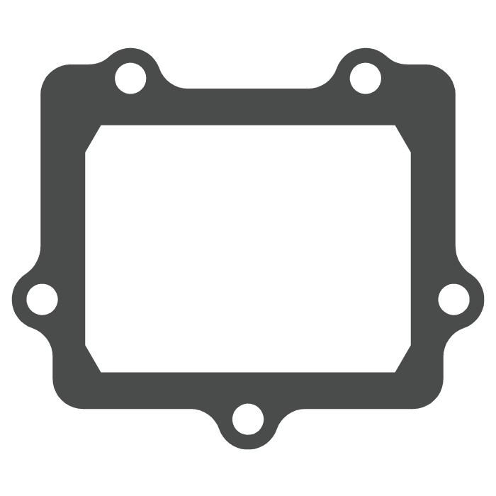 Reed valve Kawasaki KX 250 (05-08) - V-Force 3 (gasket only) MTG307