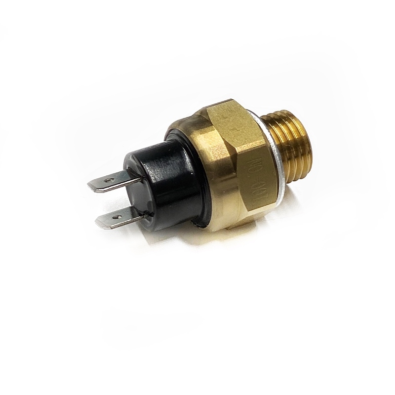 Thermostat switch